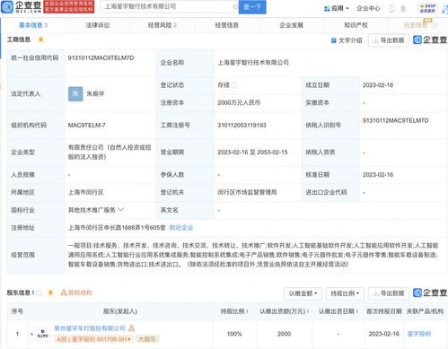 星宇股份于上海新設智行技術(shù)子公司，聚焦信息系統(tǒng)集成服務